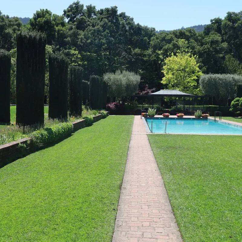 giardino moderno di villa con piscina