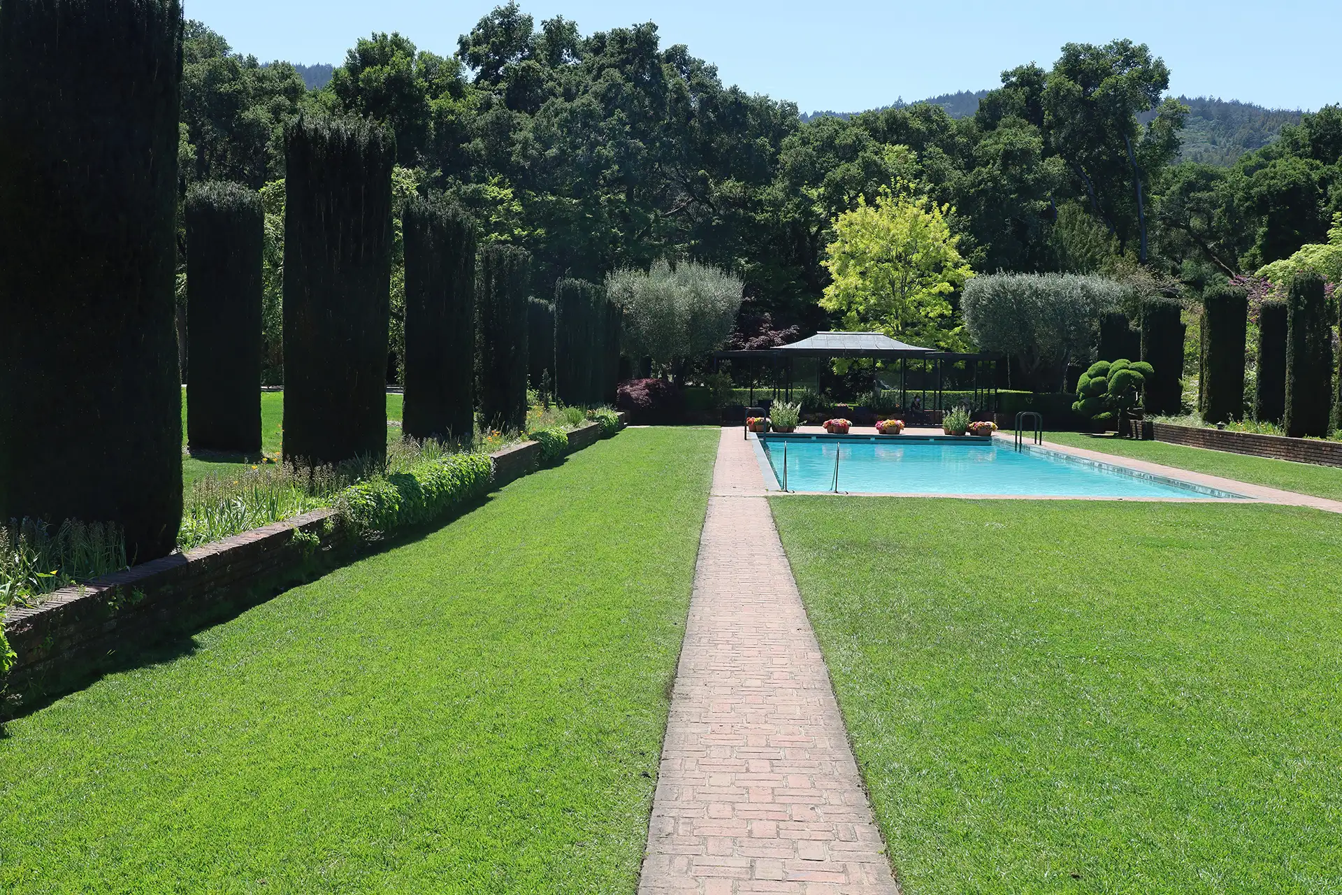 giardino moderno di villa con piscina