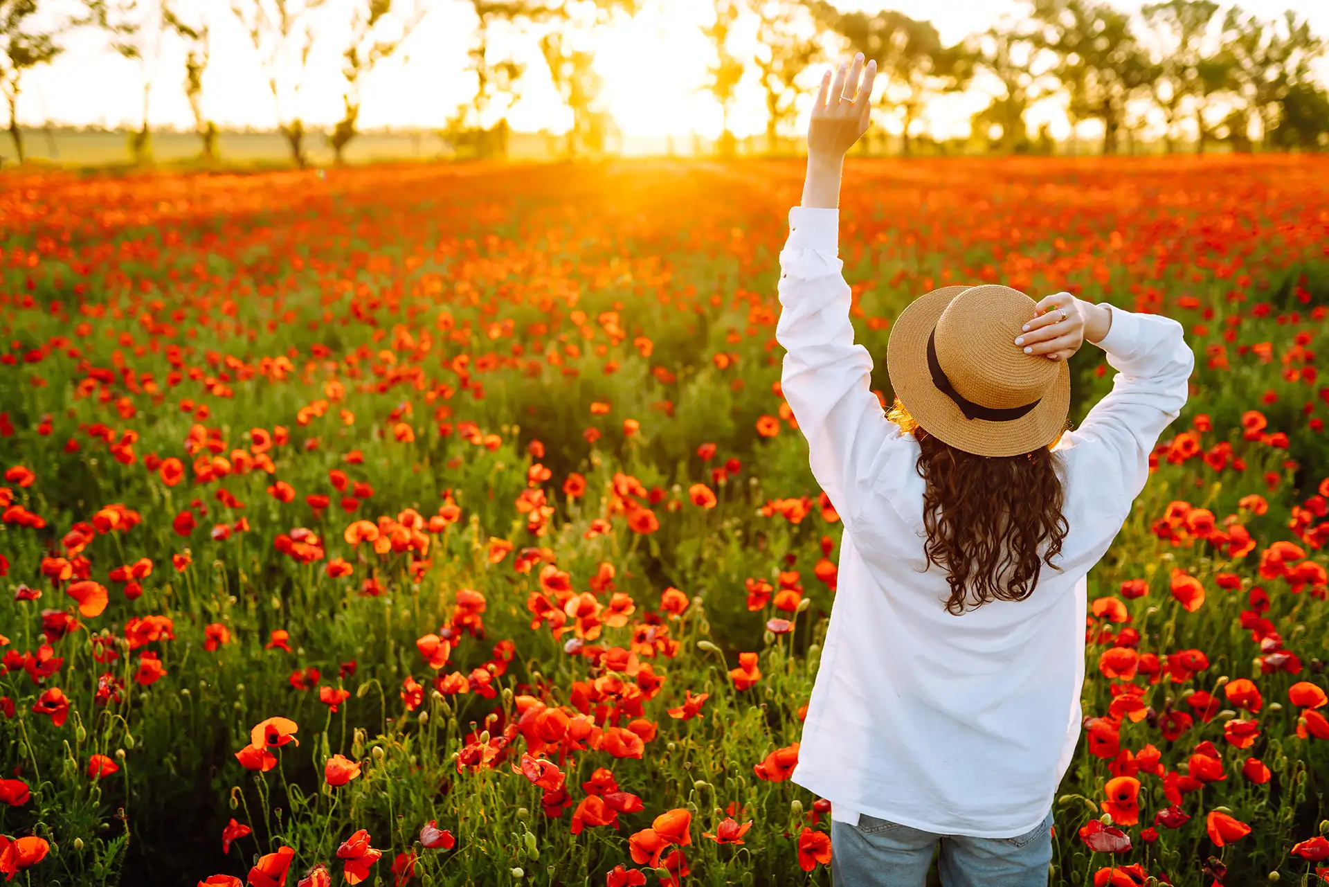 fiori a primavera
